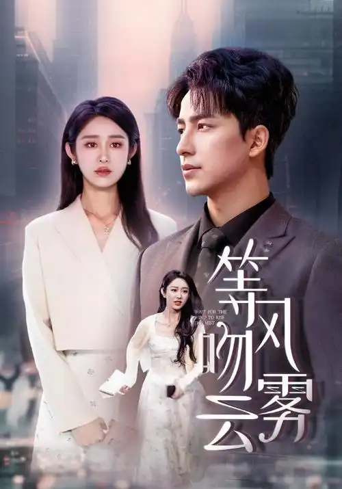 犯罪推理剧《雪落无声》海报
